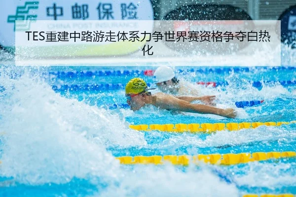 TES重建中路游走体系力争世界赛资格争夺白热化